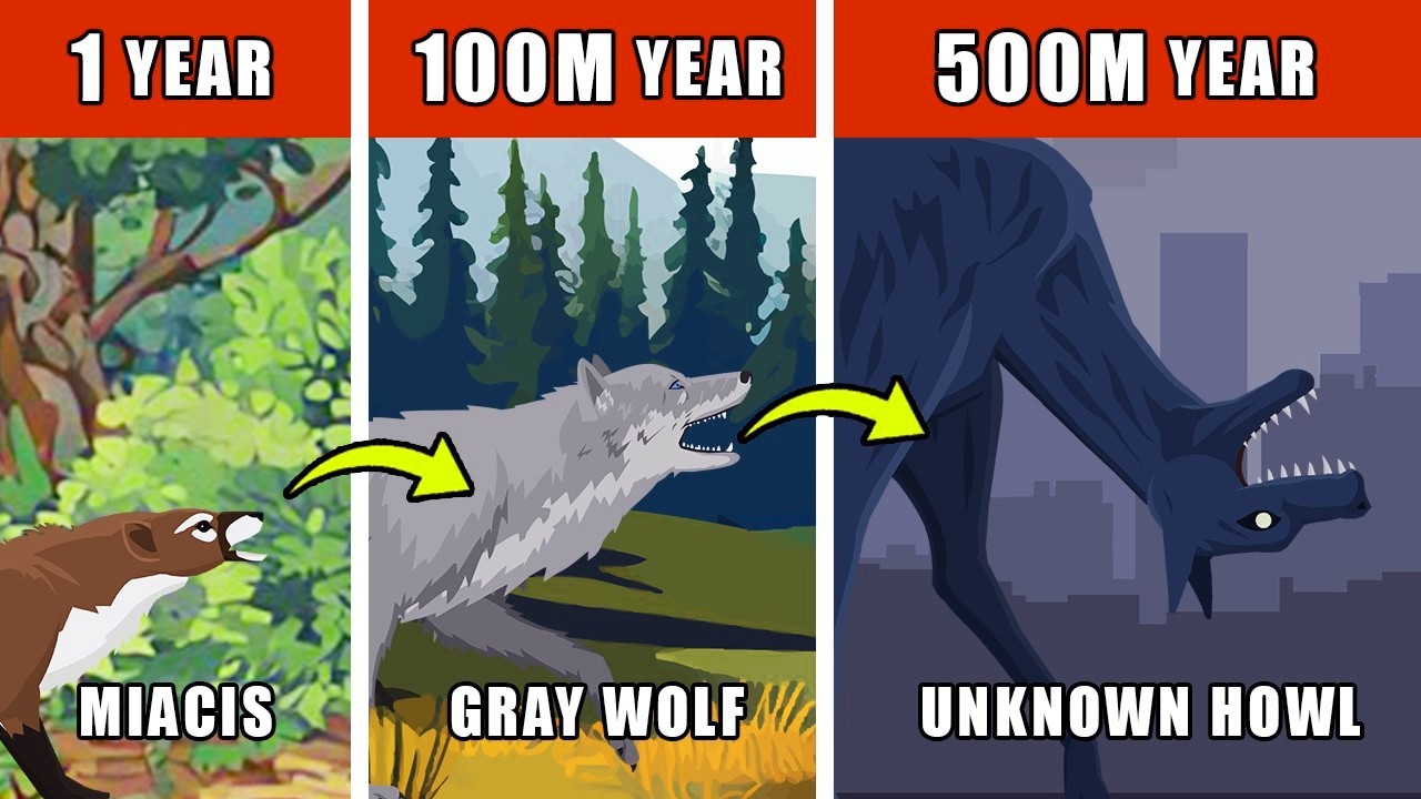 Происхождение и эволюция неизвестного воя: как мог эволюционировать неизвестный вой?