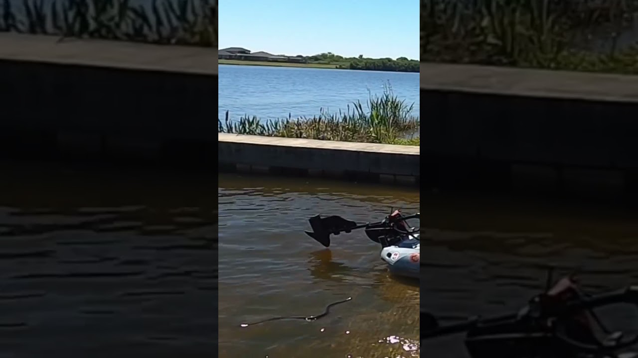I had a Snake Try to Hitch a Ride on my Kayak 