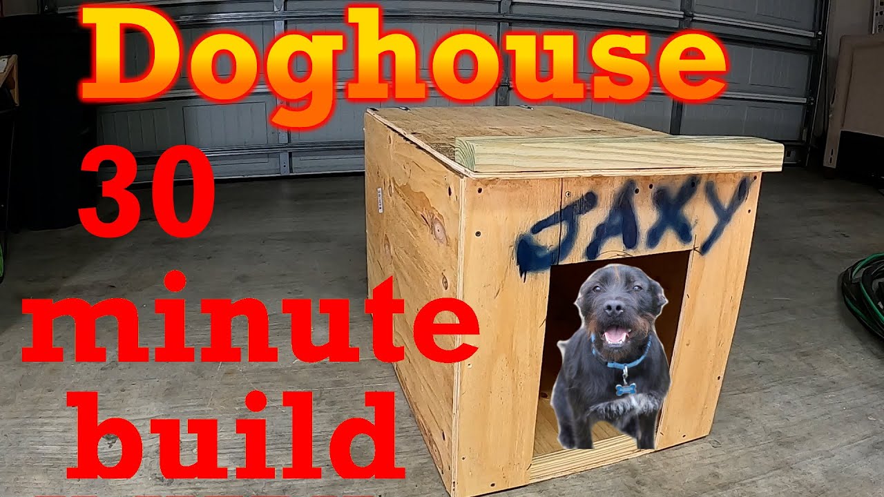 Doghouse -- 30 minute build