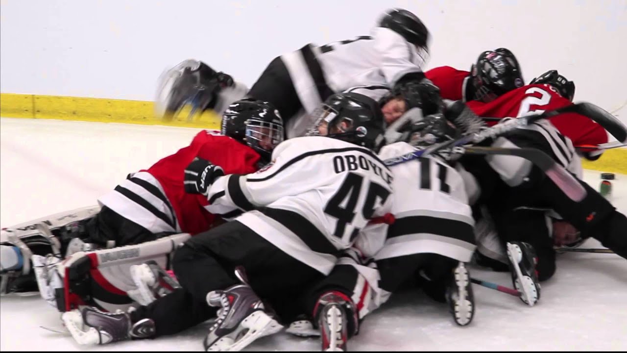 Dogpile V1