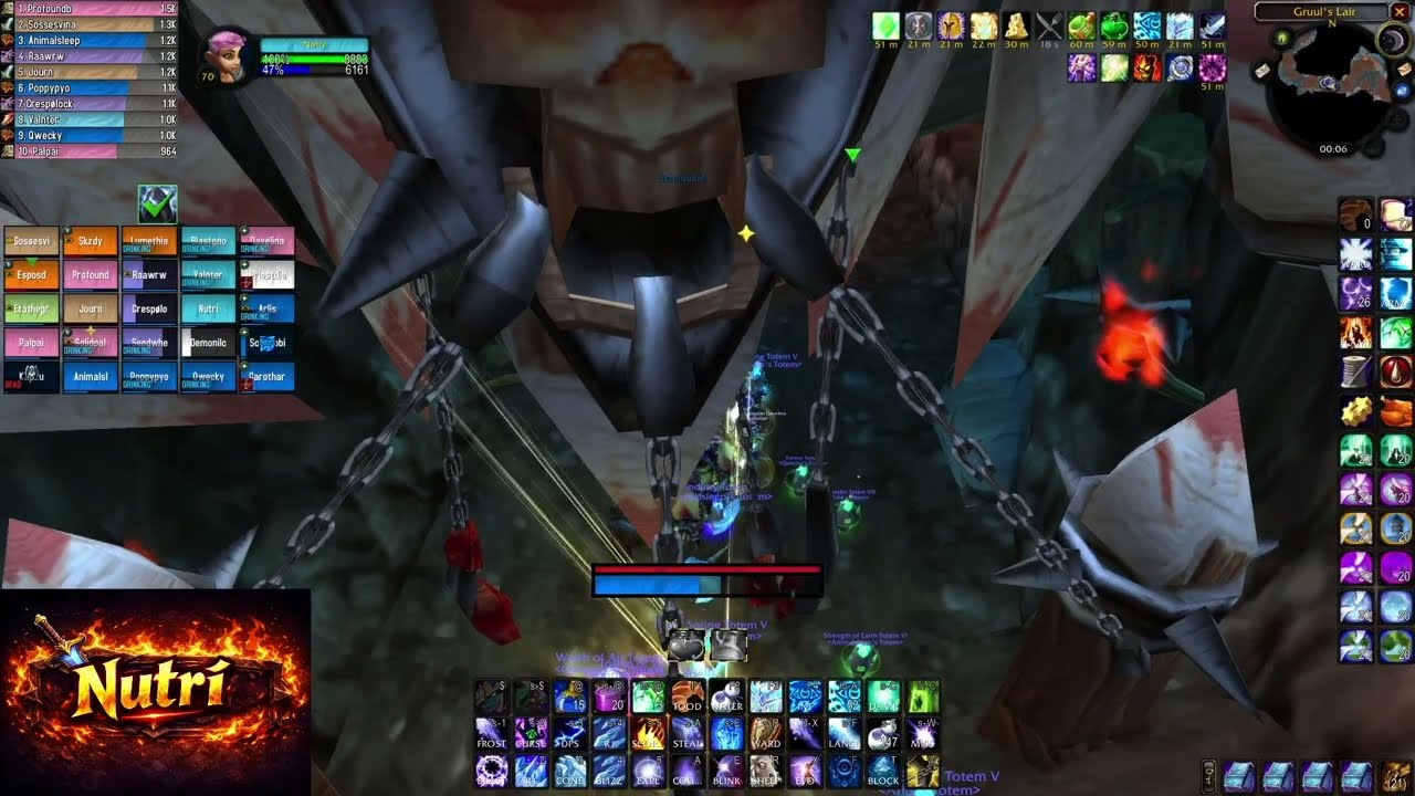World 17th Gruul's Lair / Magtheridon's Lair / Karazhan - Realm 5th - Mage Tank PoV - Euphoria guild