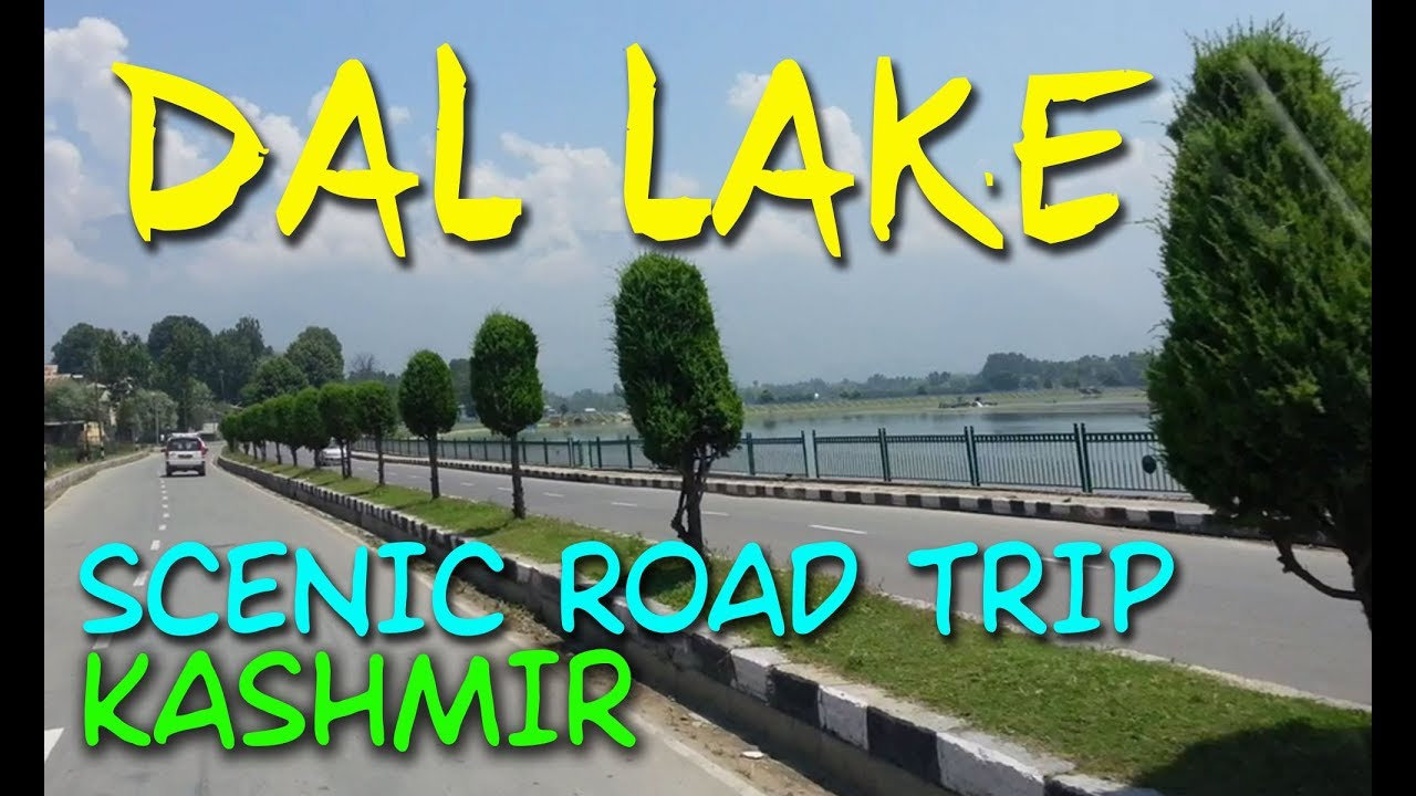 Dal Lake Srinagar Kashmir Beautiful Road Drive  June 2015 Video AlertCitizen