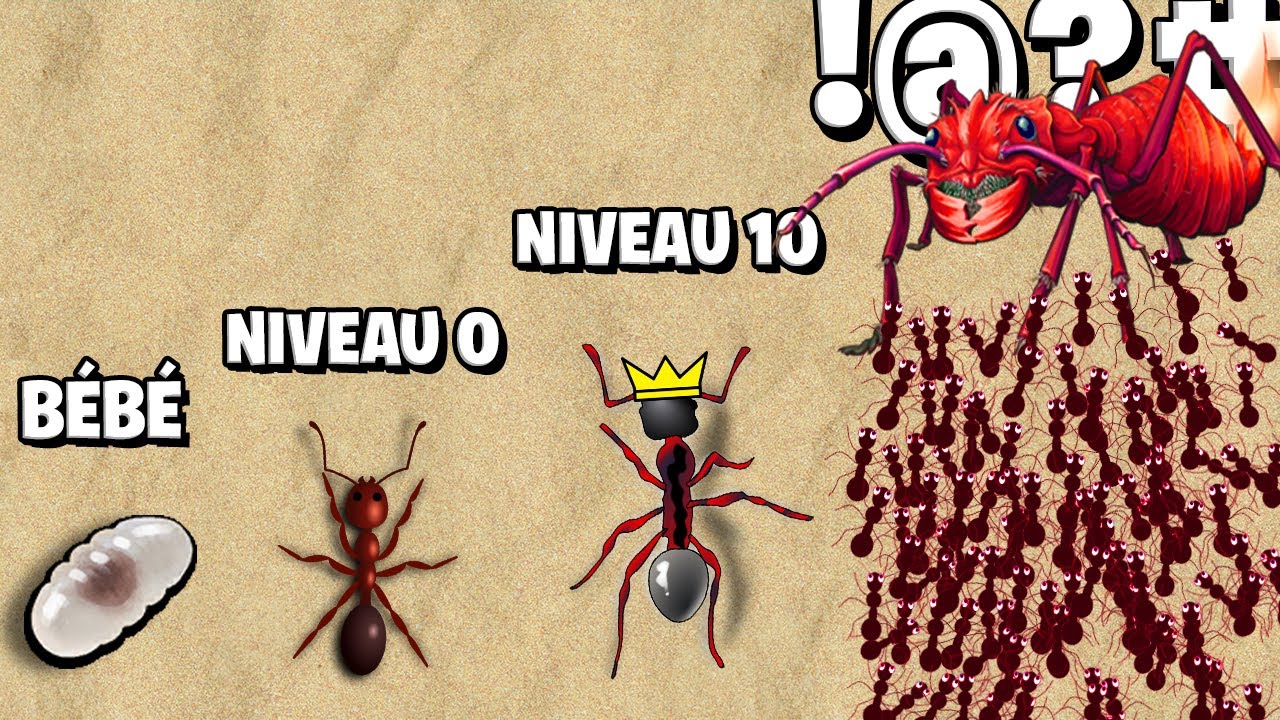 LA MEILLEURE ÉVOLUTION DE COLONIE DE FOURMIS ! (ants.io)