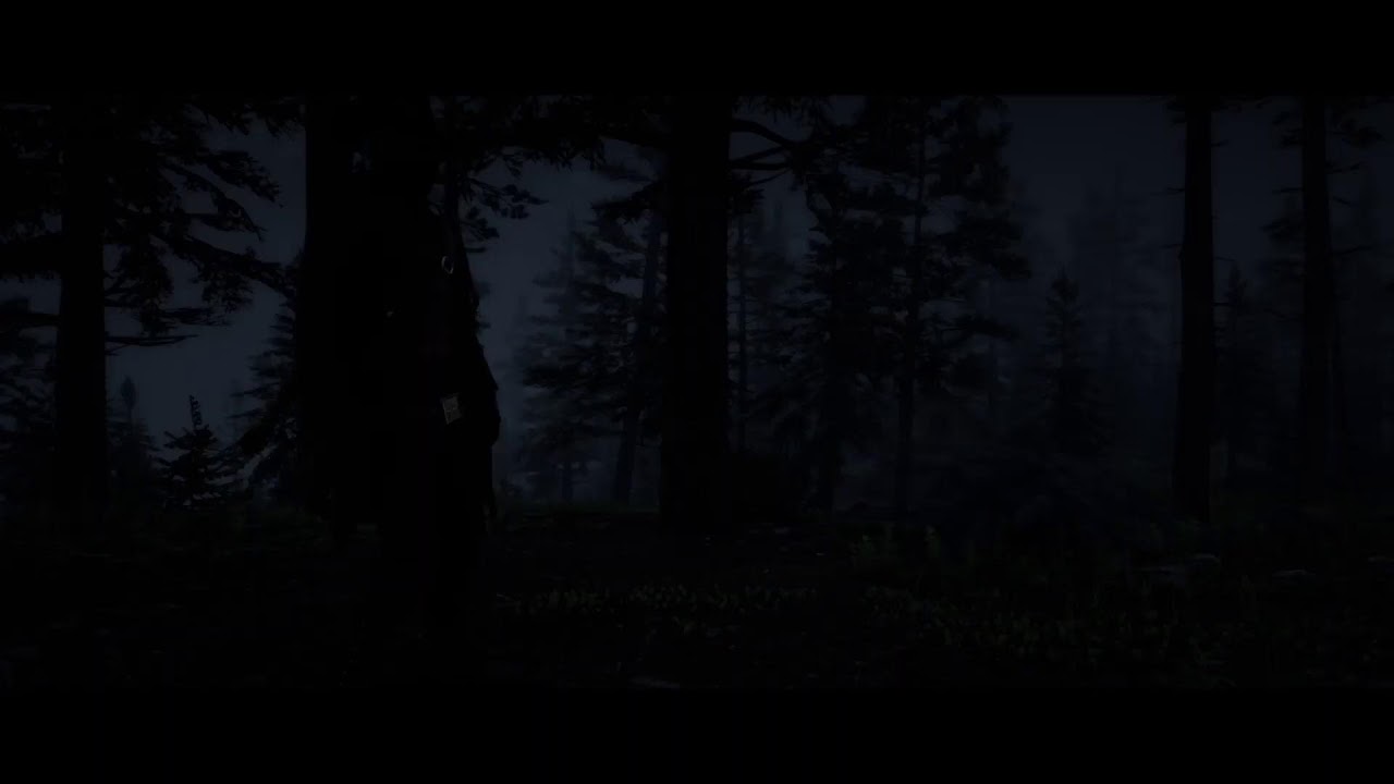 PS5 - Red Dead Online - Live STREAM