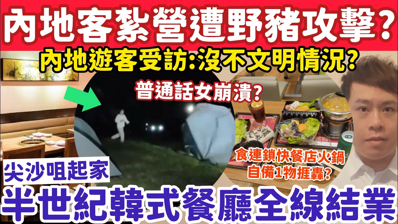 有片！內地客來港紥營慘遭野豬攻擊？半世紀韓式餐廳全線結業？21-2-2026