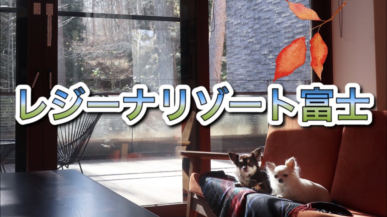 【わんこと旅行】居心地良すぎレジーナリゾート富士(前編)