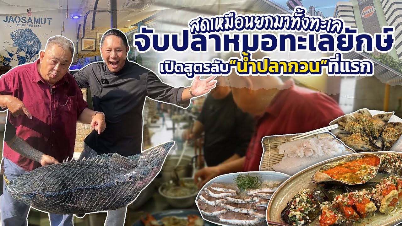 สดเหมือนยกมาทั้งทะเล!! บุก“ครัวบ้านปูไข่ดอง”จับปลาหมอทะเลยักษ์ เปิดสูตร'น้ำปลากวน'ที่แรก