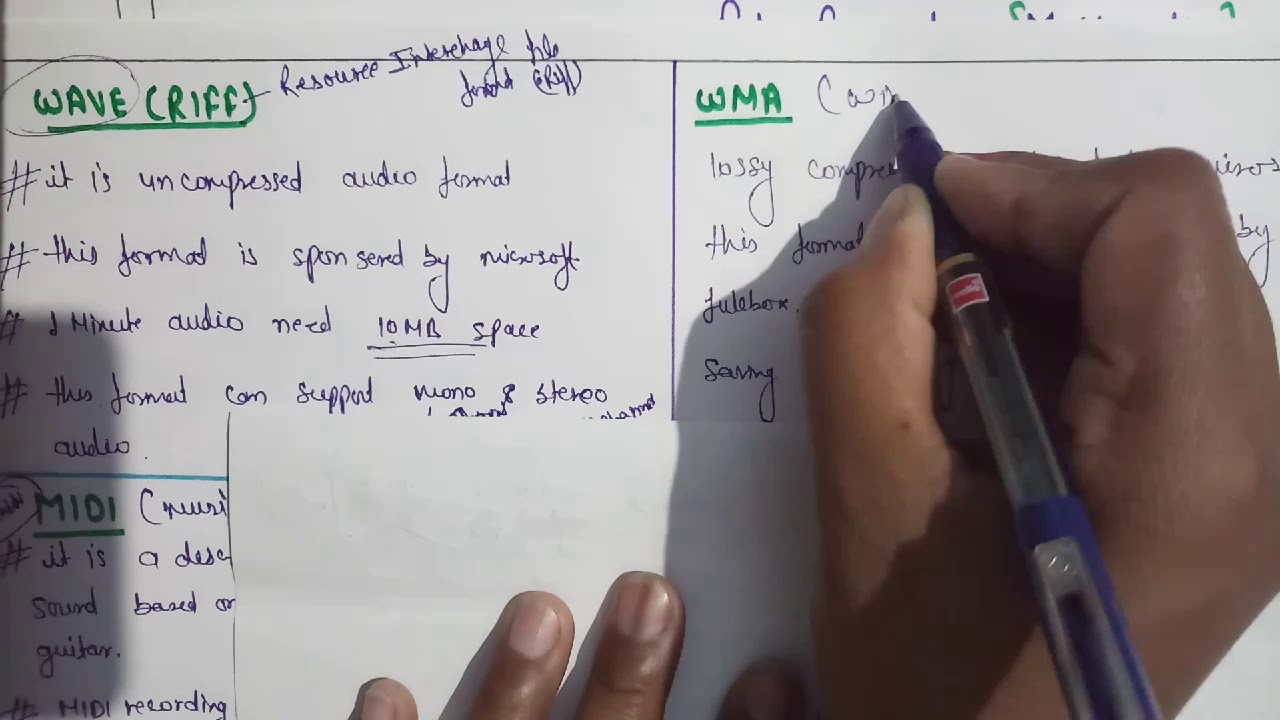 AUDIO FILE FORMAT || FILE FORMAT IN MULTIMEDIA ||TYPES OF FILE FORMAT IN HINDI