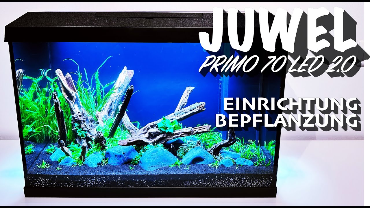 Juwel Primo 70 LED 2.0 - Einrichtung & Bepflanzung