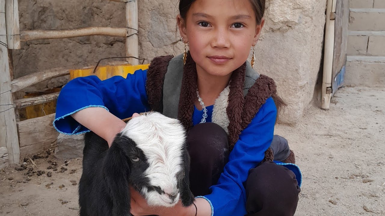 سِی بِید خندان بالای شما بیننده ها🤔