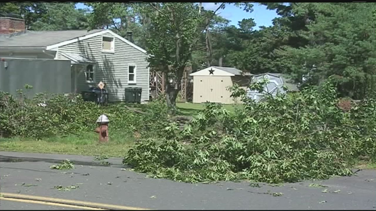 Tree cutting accident causes power outages; car fire