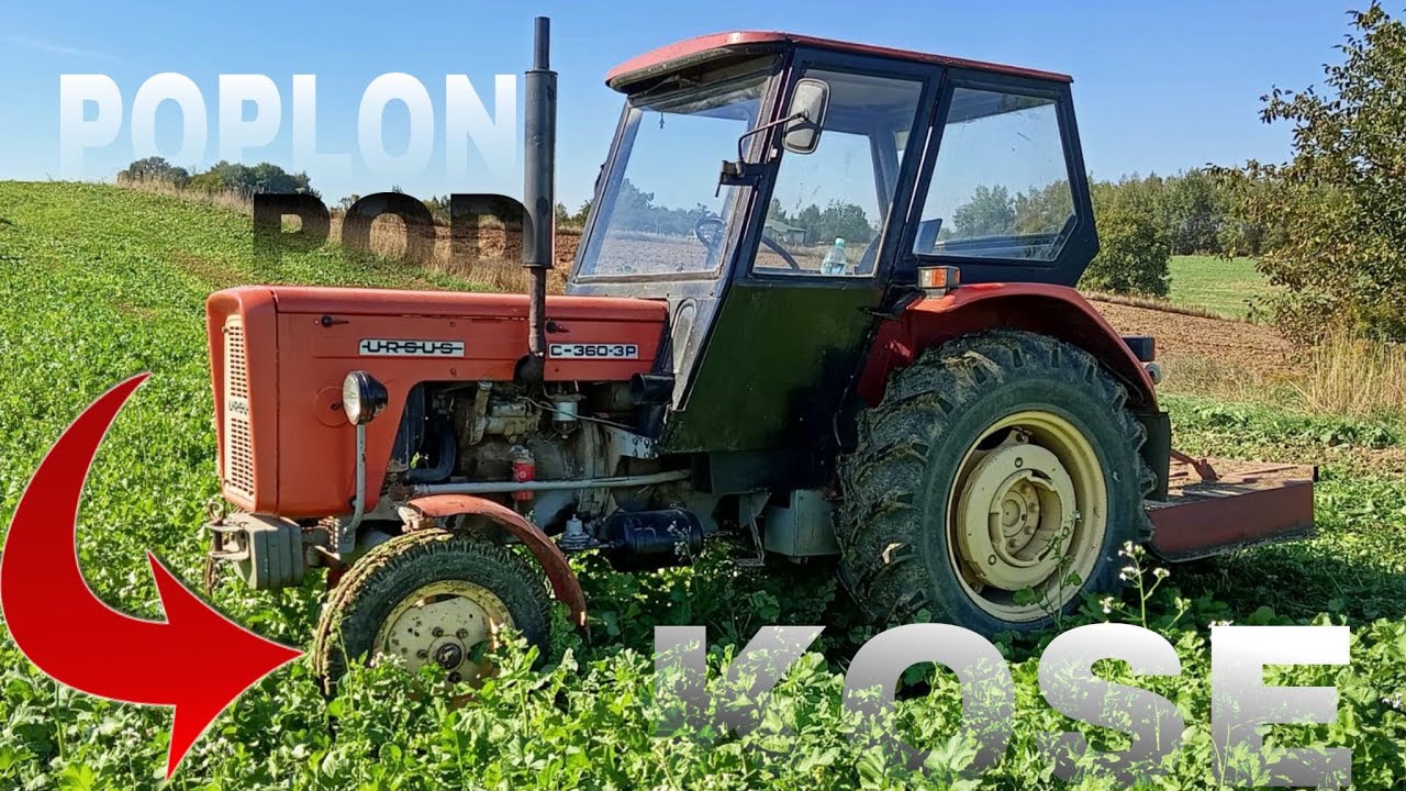 ✅ Poplon pod kosę || Ursus C-360 3P & rozdrabniacz sadowniczy 🔥