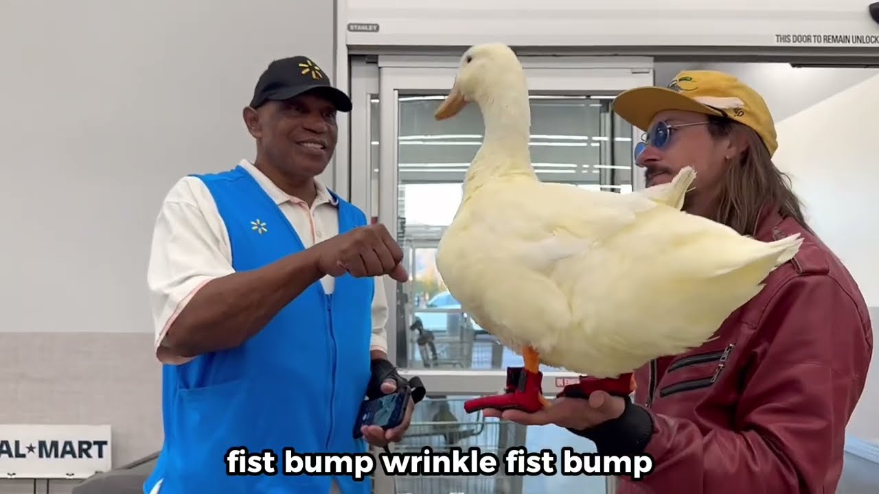 I took my duck to Walmart (to buy all the water)