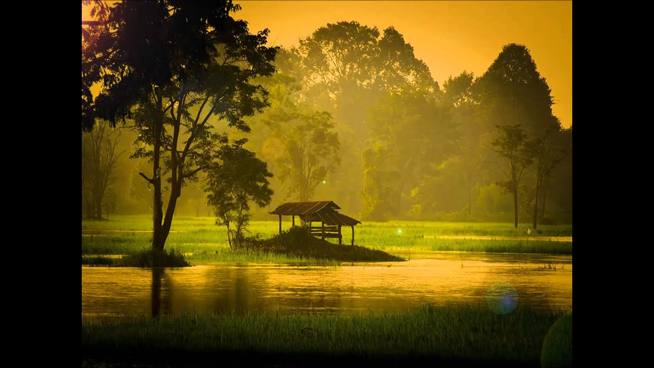 หนุ่มนารอนาง - ก๊อต จักรพรรณ์