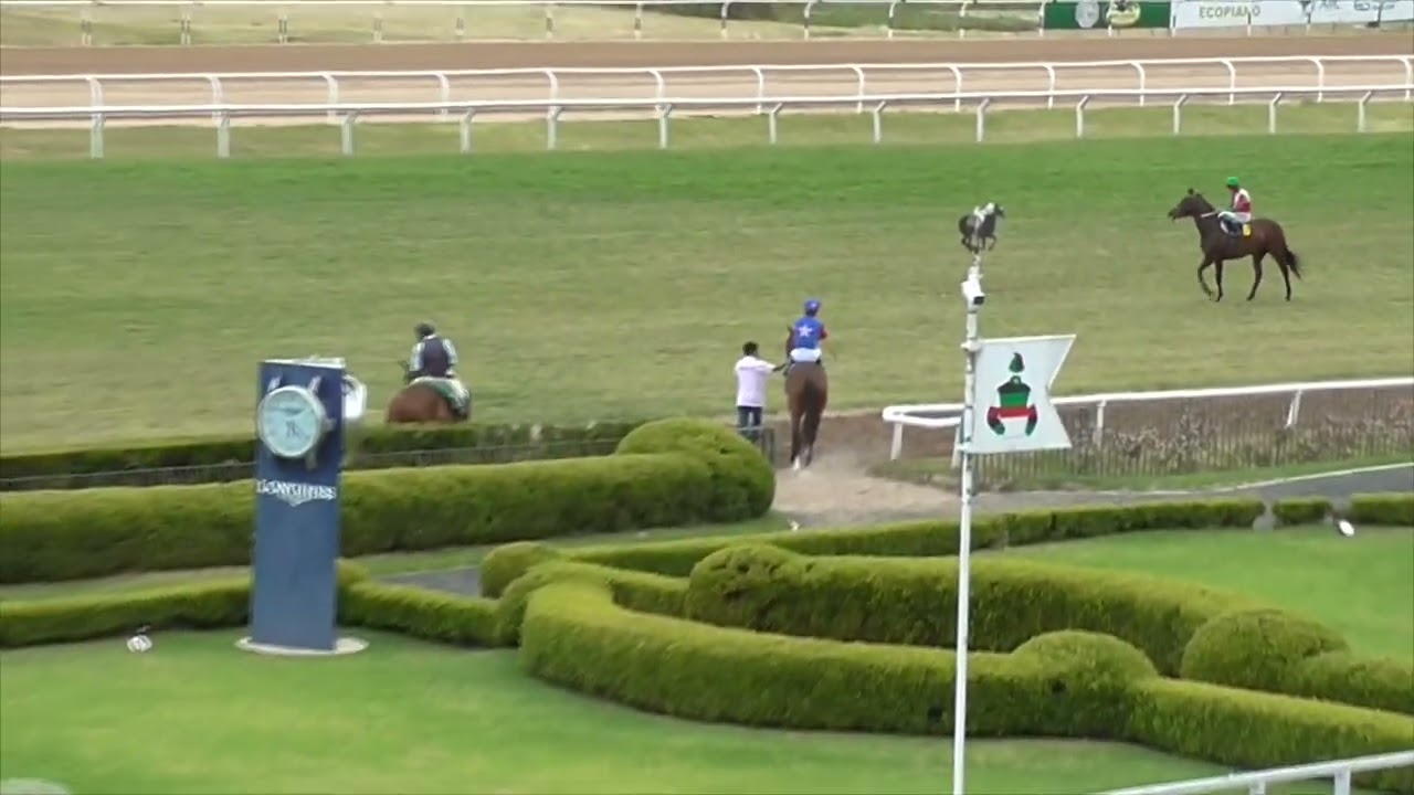 Hipódromo de San Isidro II