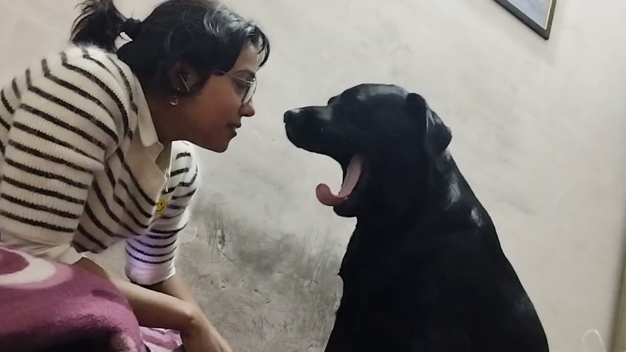 Mere ghar ka sher