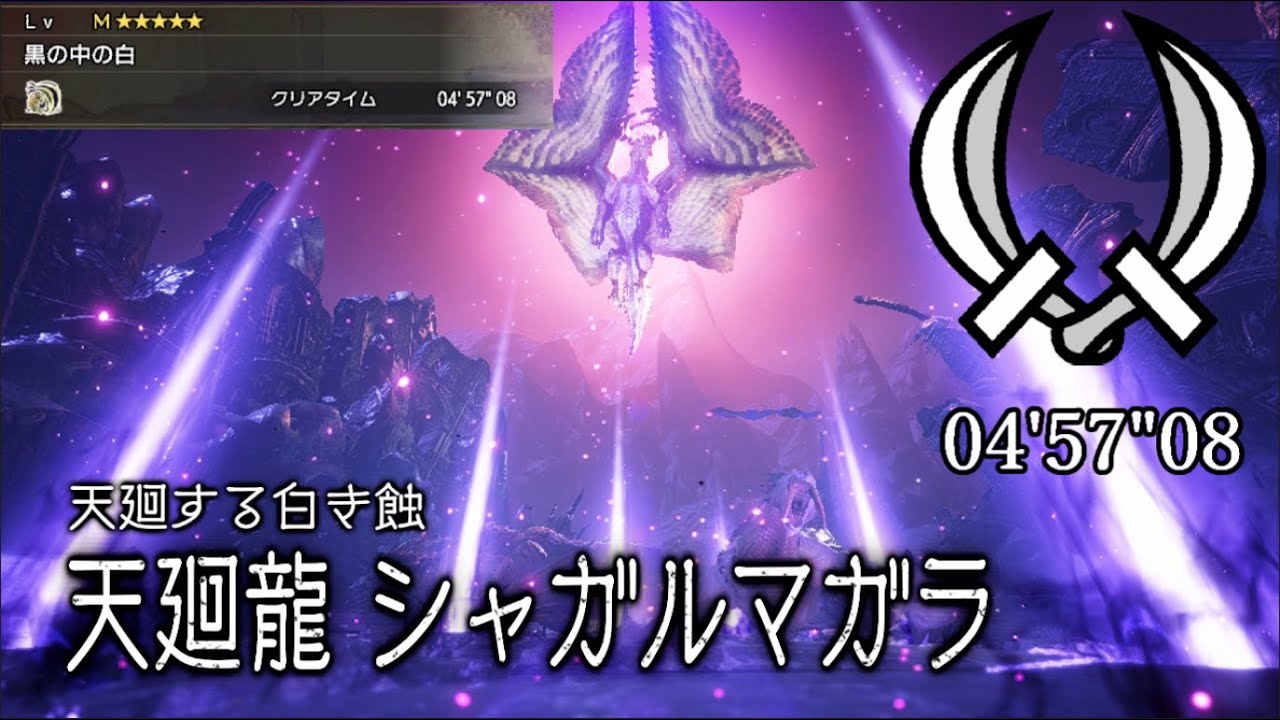 【MHR:SB / Switch】黒の中の白  双剣 ソロ 04'57