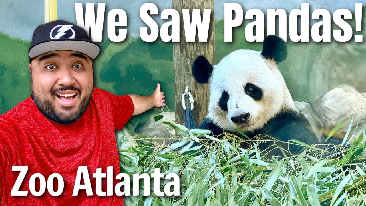 We Visited Zoo Atlanta And Saw RARE Pandas! FULL Zoo Atlanta Experience!
