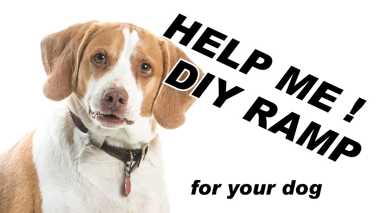 DIY Dog Ramp for just a couple dollars