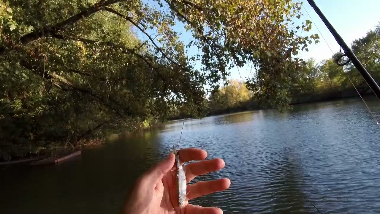 Horgásztunk a folyón nyári videó
