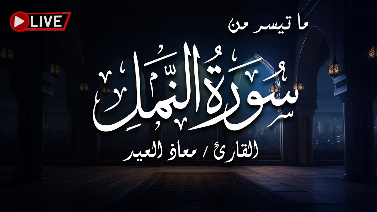 سورة النمل .. تلاوة مباركة بصوت القارئ معاذ العيد | بث مباشر