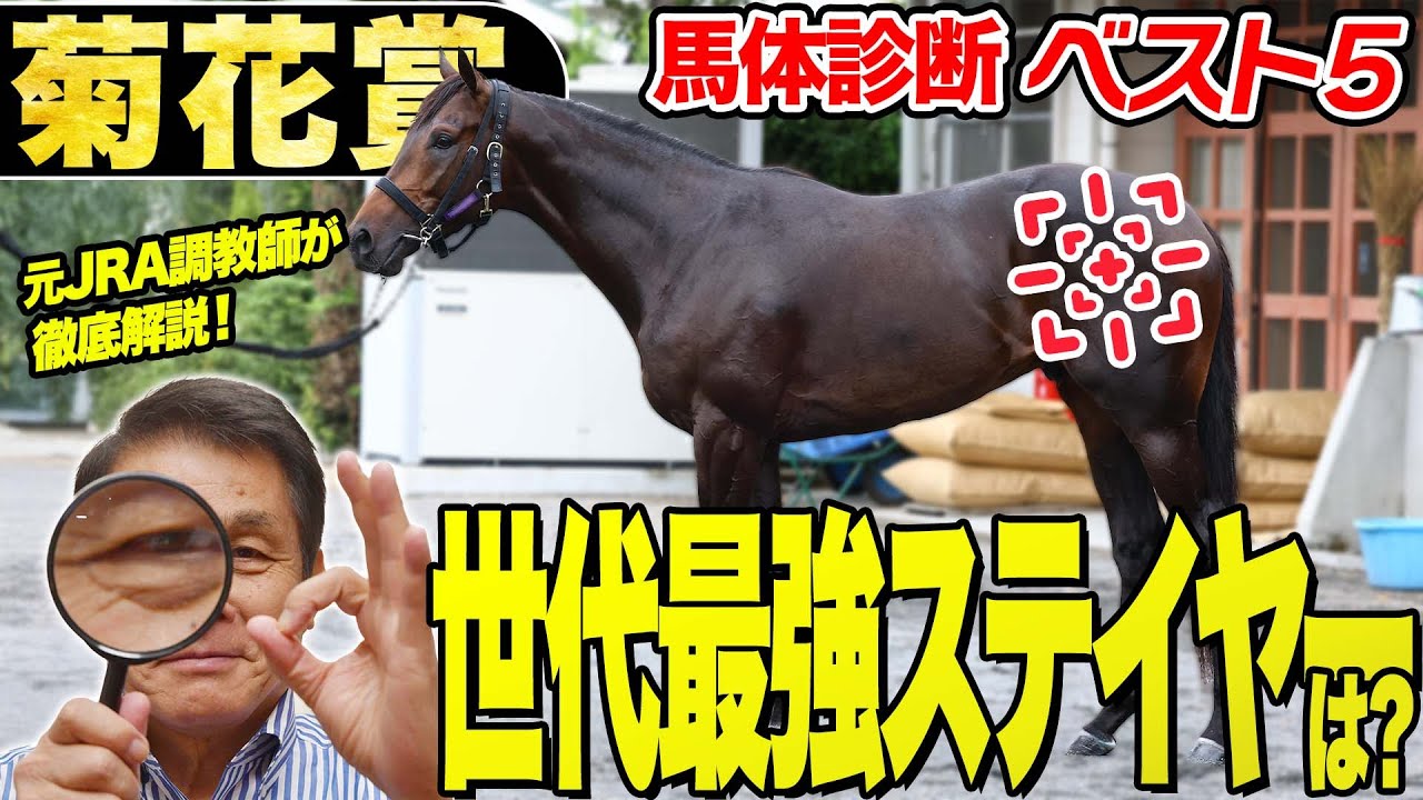 【菊花賞2025】中村均元調教師が馬体診断ベスト５を発表　未知の距離を激走する可能性を秘めるのはこの馬！《東スポ競馬》