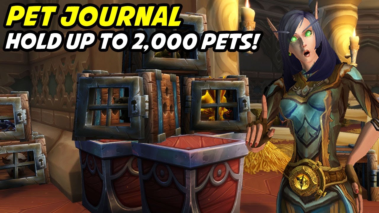 Pocket Pet Portal - Pet Journal Upgrade