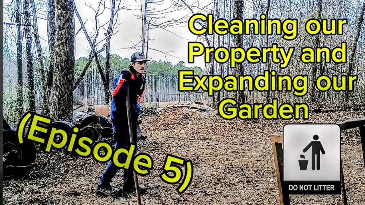 Cleaning our Property and Expanding our Garden (Episode 5) #project #diy #garden #fyp #viral #CapCut