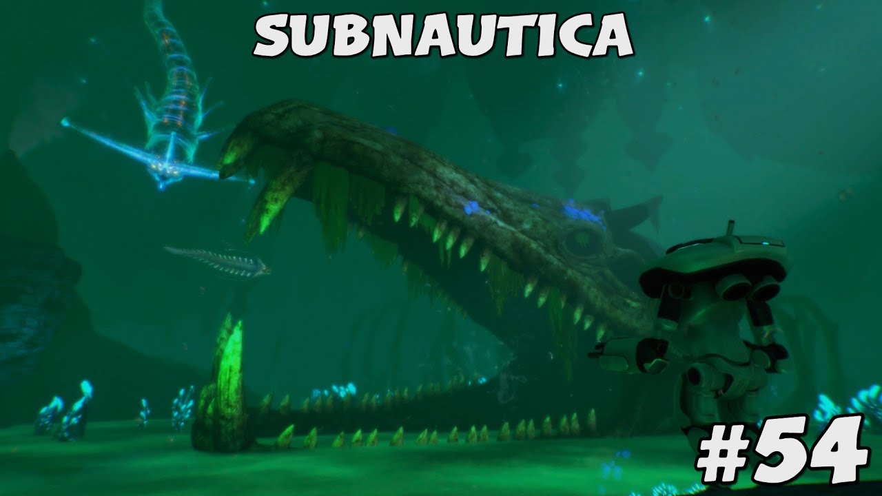 Unknown Area | Subnautica #54
