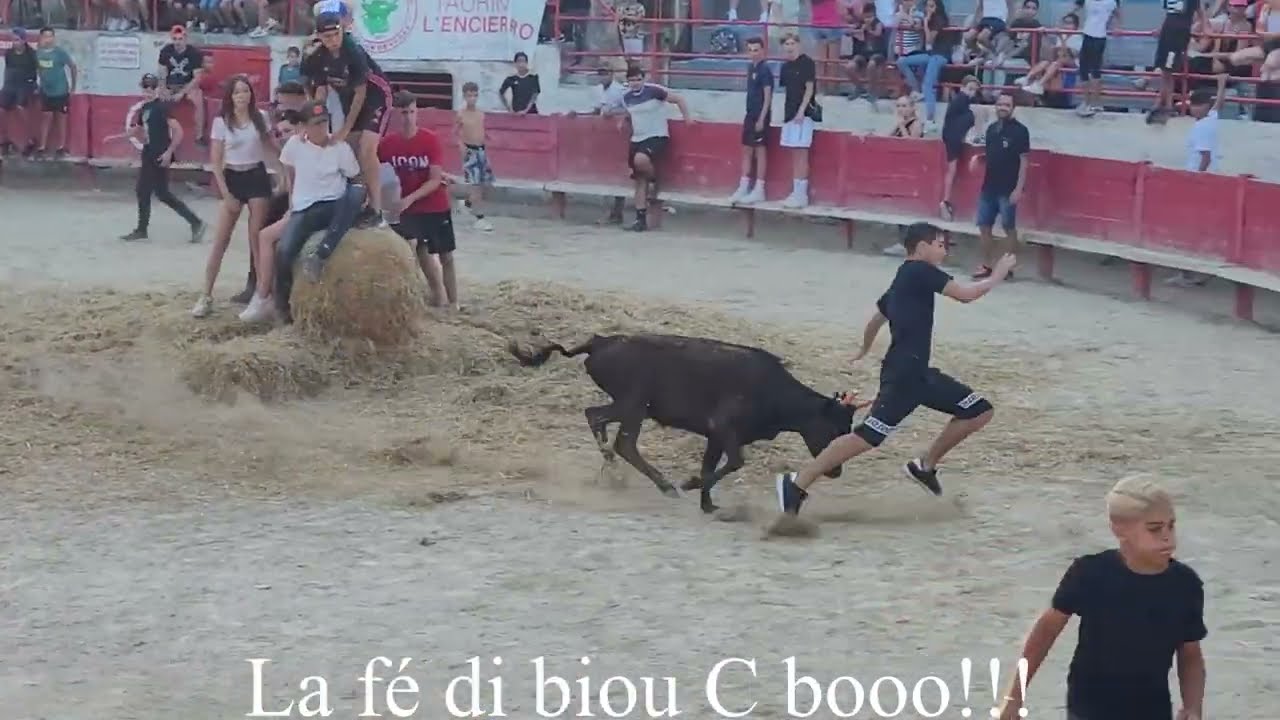 Toro piscine spécial enfant 02.07.2022