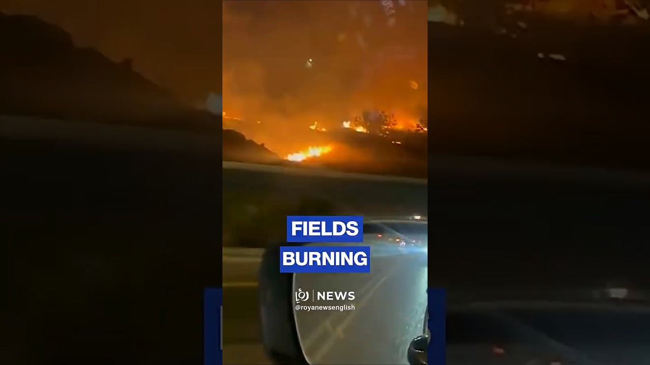 'Israeli' settlers set fire to farmland in Beitin, north of Ramallah