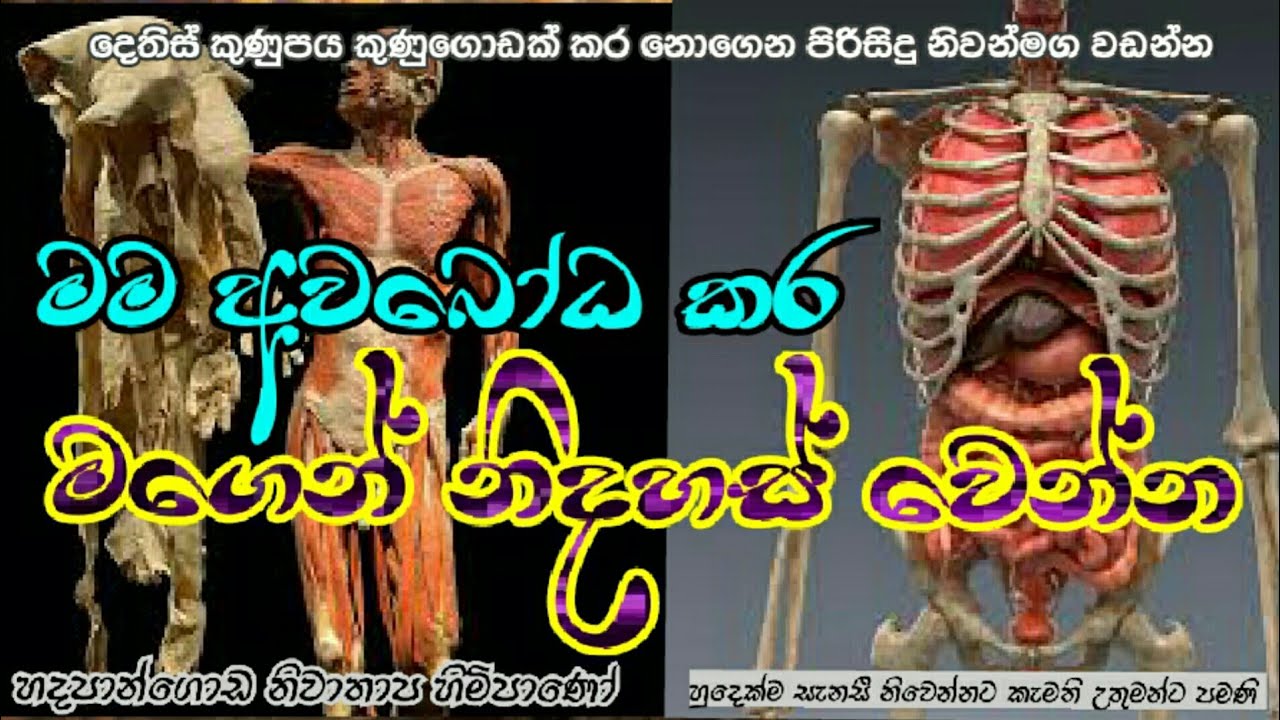 මම අවබෝධ කර මගෙන් නිදහස්වෙන්න#Hadapangoda niwathapa thero#pahura#Dharmayai obai