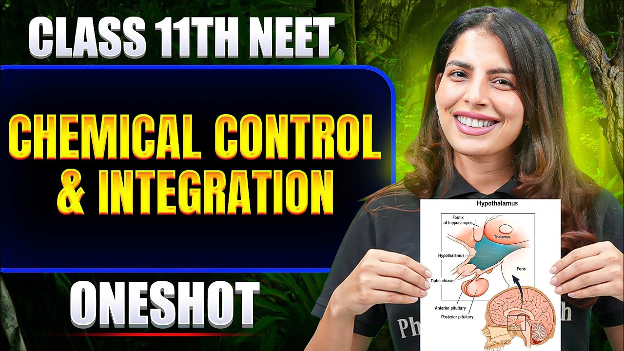 Chemical Control & Integration in ONE SHOT | All Concept & PYQ | Basic to Advance | Class 11 NEET