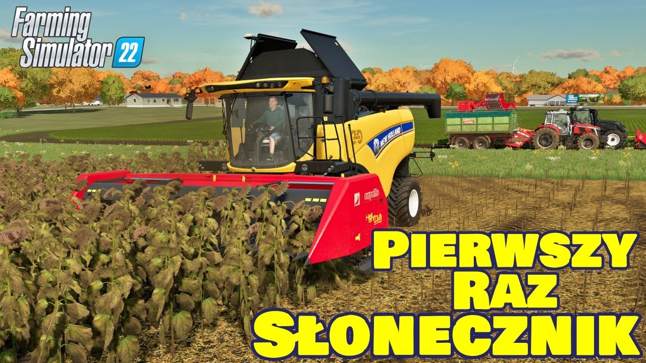 Omłoty słonecznika w Farming Simulator 22