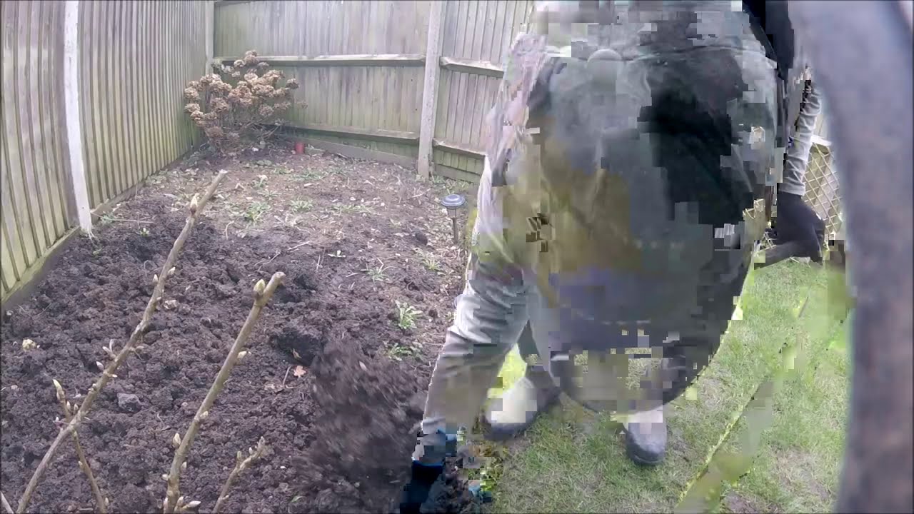 Time-lapse Dig Over