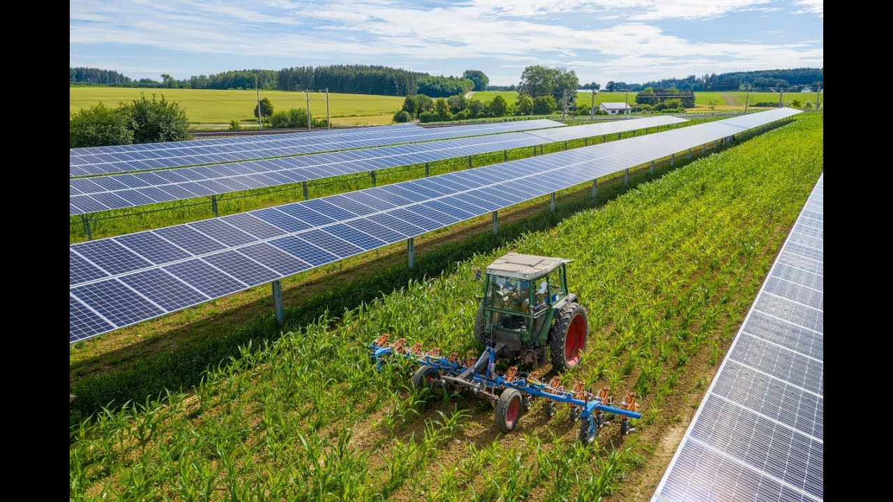 ÖKO-HAUS GmbH AGRO-PV Photovoltaik-Freiflaechenanlage