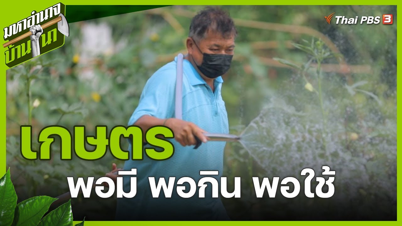 พี่ชาตรี เกษตรพอมี พอกินพอใช้ : มหาอำนาจบ้านนา
