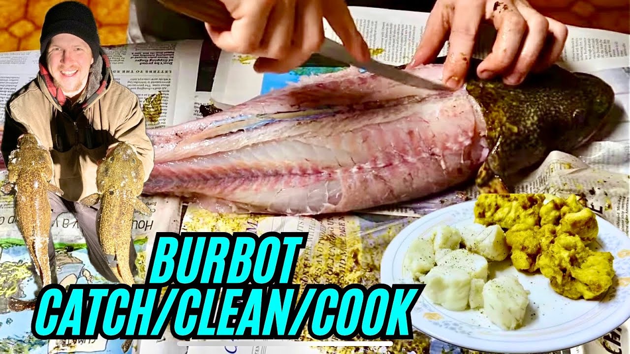 Burbot CATCH and COOK - Poor Man’s Lobster vs Beer Batter