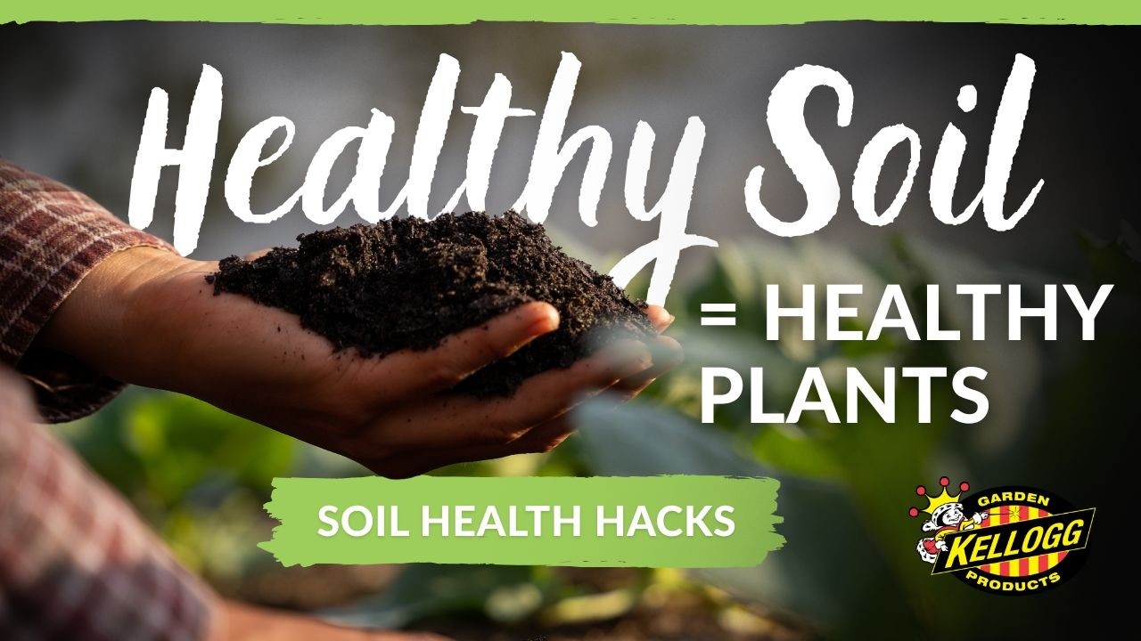 Tips for Improving Your Soil Health | Long Term Soil Investment