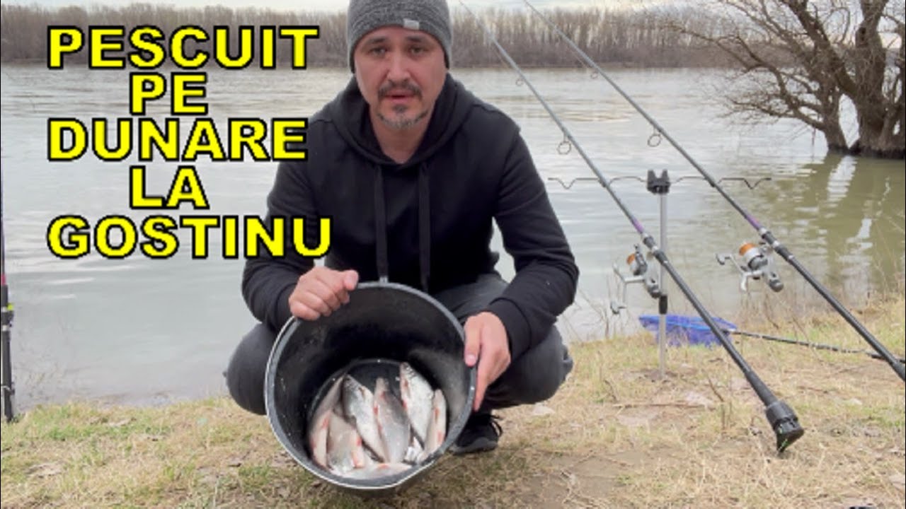 Pescuit la Feeder si Crap pe Dunare la Gostinu!