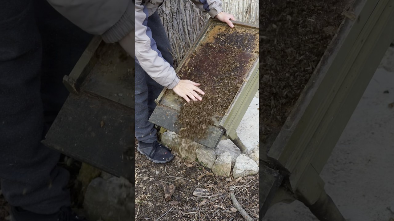 Even well-prepared hives struggle with wild temperature swings #bees #beekeeping #beekeeper #winter