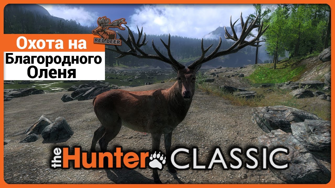 Охота на Благородного Оленя в theHunter Classic !