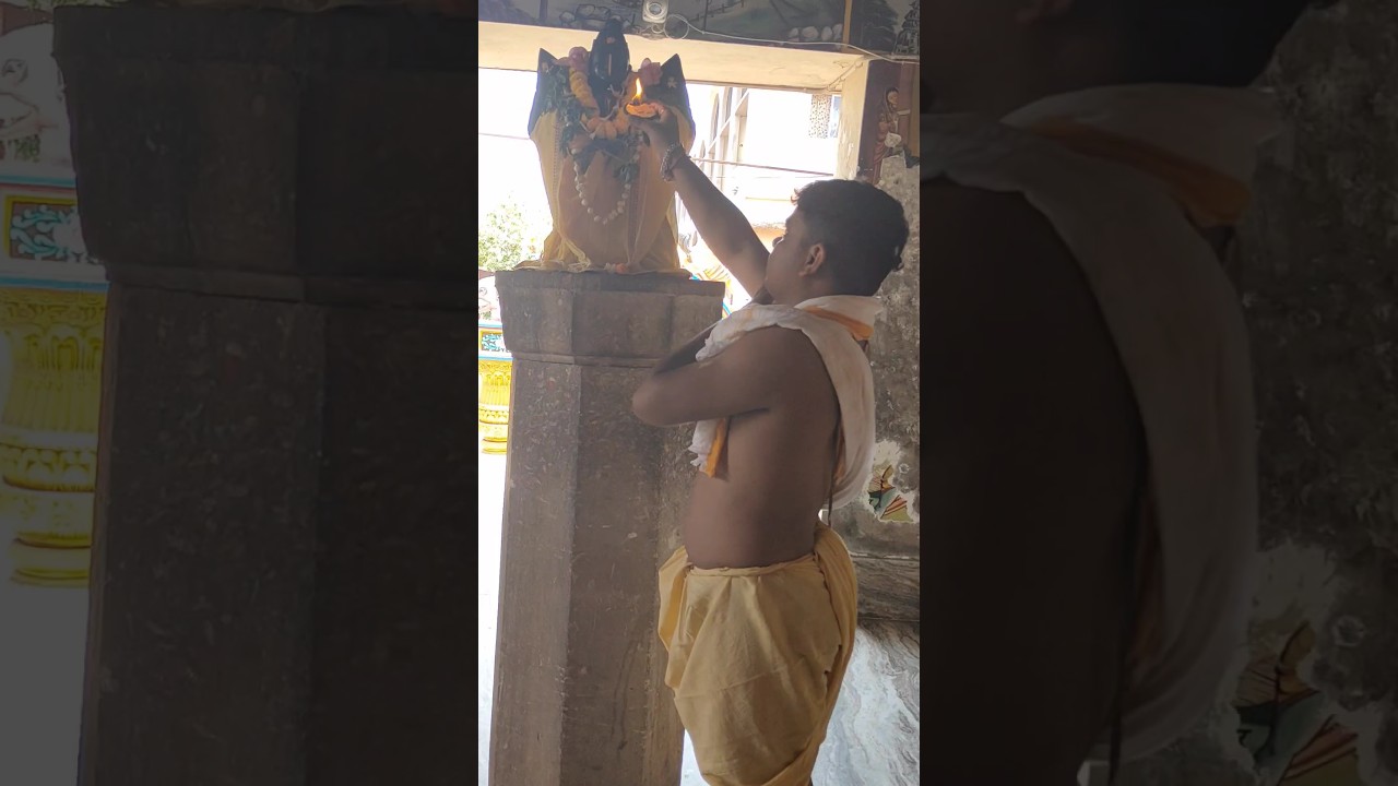 Garuda Dev and Sri Jagannath mangal Arati Darshan #shorts #jagannath #garuda #krishna #viral