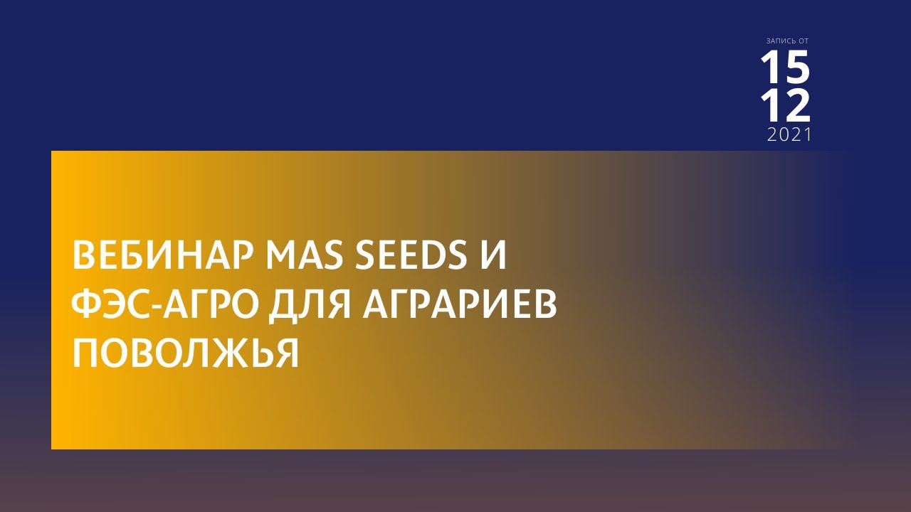 Кукуруза - система питания и защиты для Поволжья