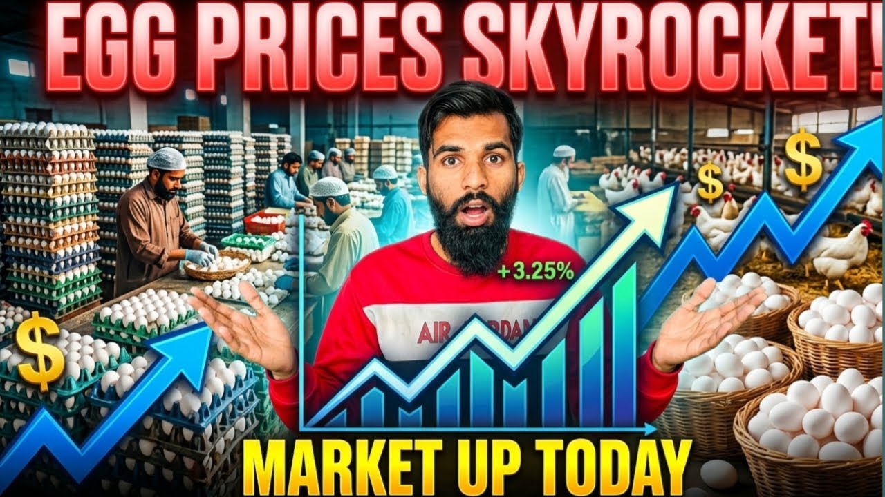 Egg Market Boom Today 🥚📈 | Egg Prices Increased | Latest Egg Rate Update 2026