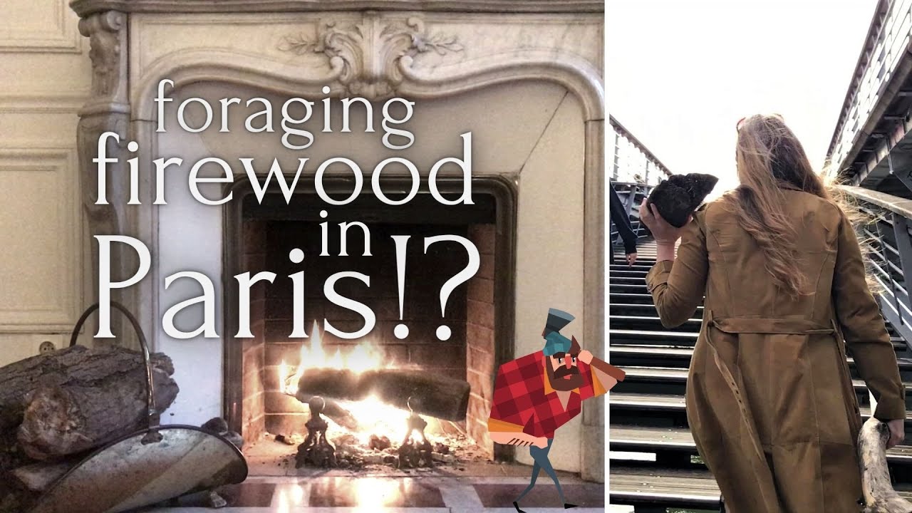 🪵 Urban foraging firewood | Everyday life in Paris
