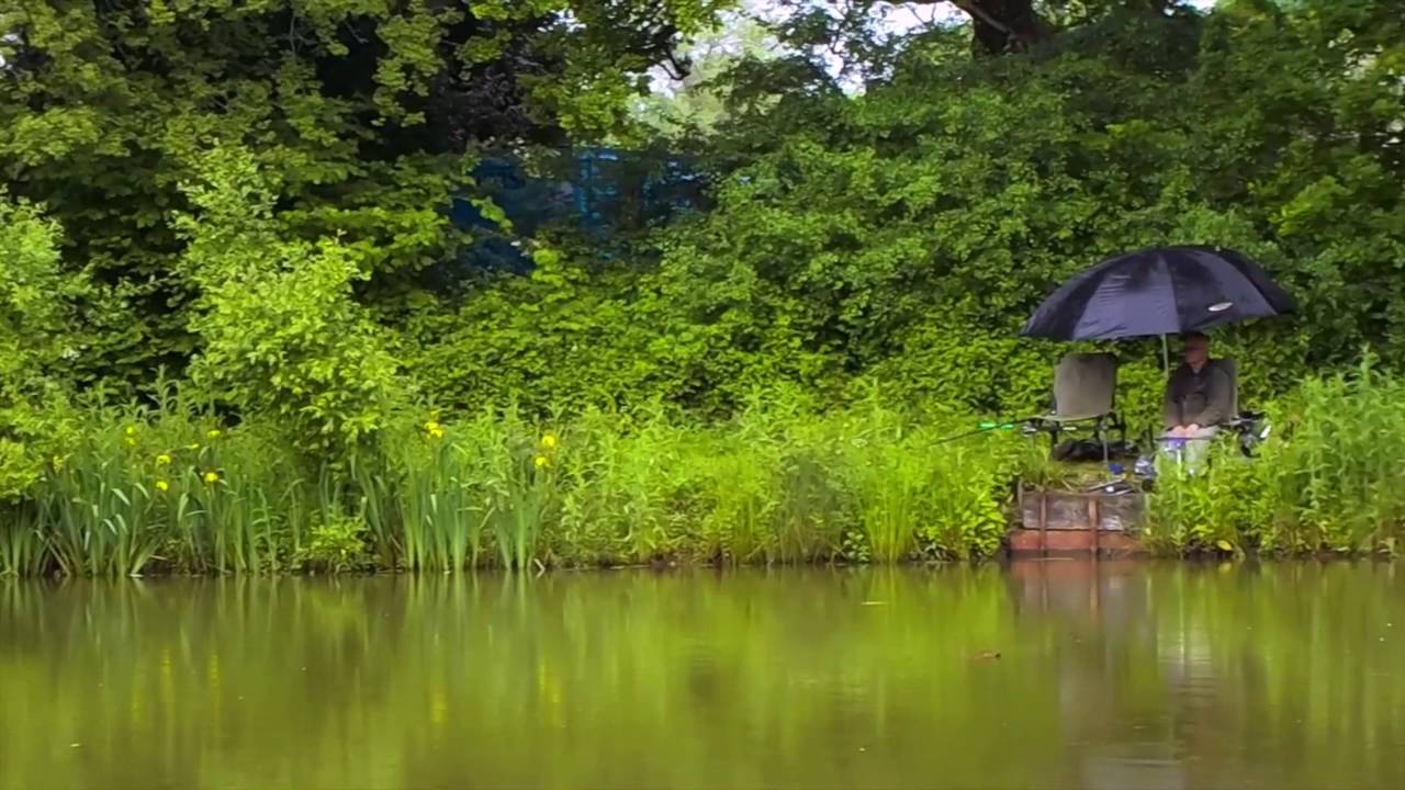 A view from the river bank