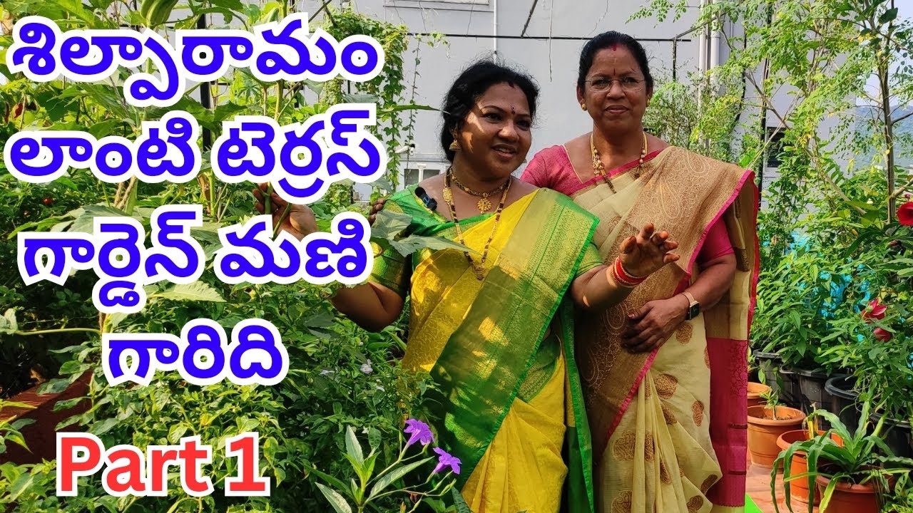 శిల్పారామం లాంటి టెర్రస్ గార్డెన్#@AadiLakshmiTerraceGarden #beauty full terres garden#