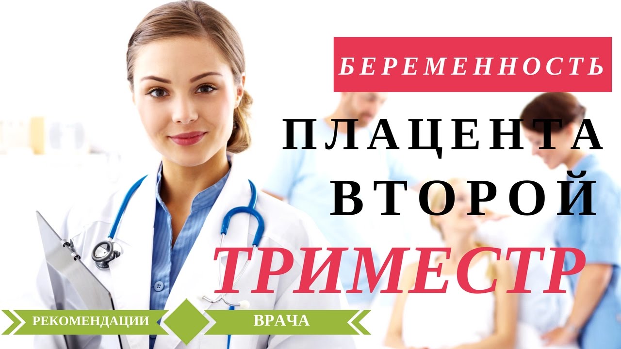 Второй триместр беременности. 4 месяц беременности. Значение плаценты.