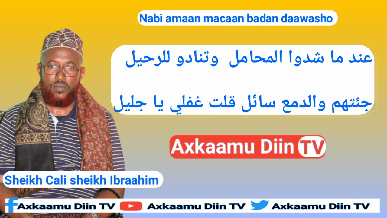 Sheikh Cali sheikh Ibraahim Daawo 👀 ᴴᴰ┇►Nabi amaan macaan leh.